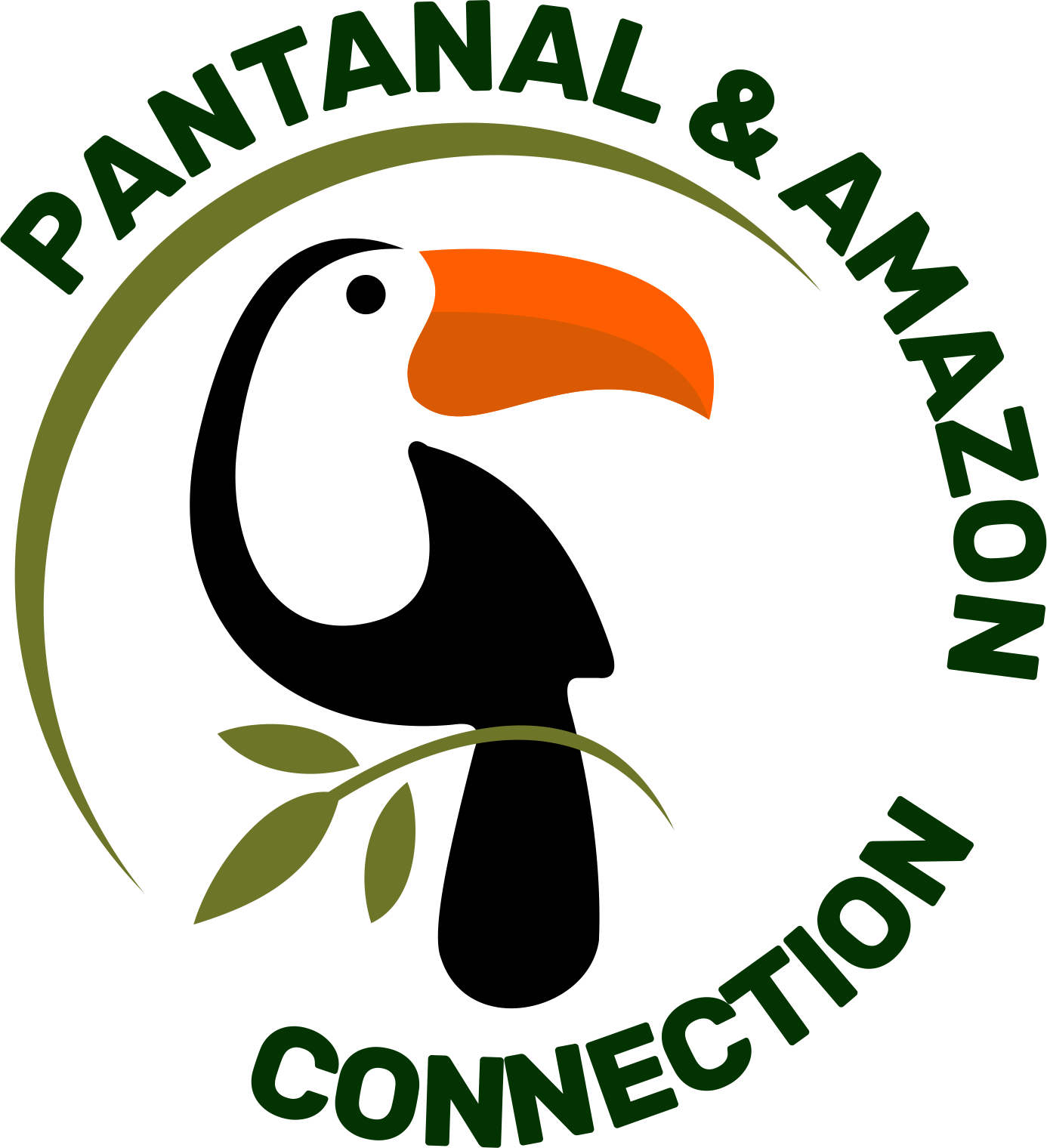 Pantanal Tours - Jaguar Tour – Discover the Pantanal