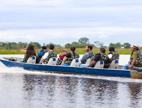 Pantanal tour